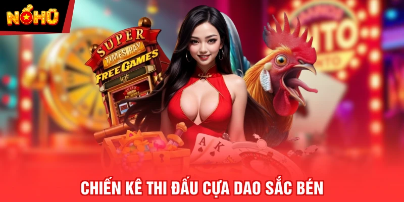 Chiến kê thi đấu cựa dao sắc bén