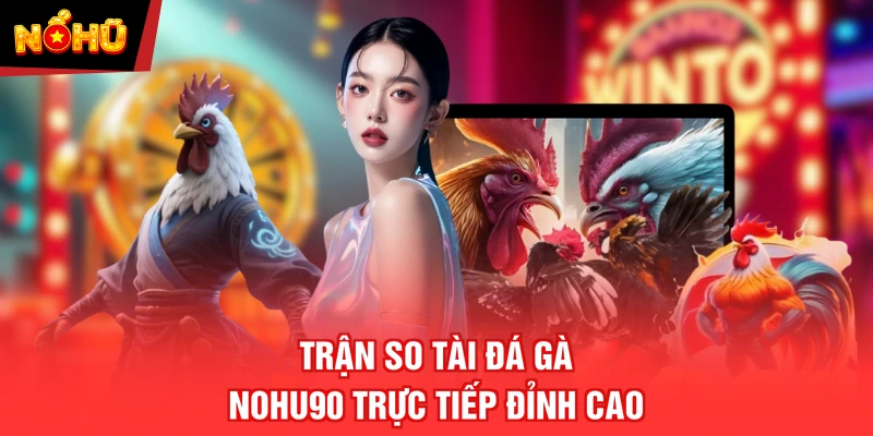 Trận so tài Đá Gà NOHU90 trực tiếp đỉnh cao