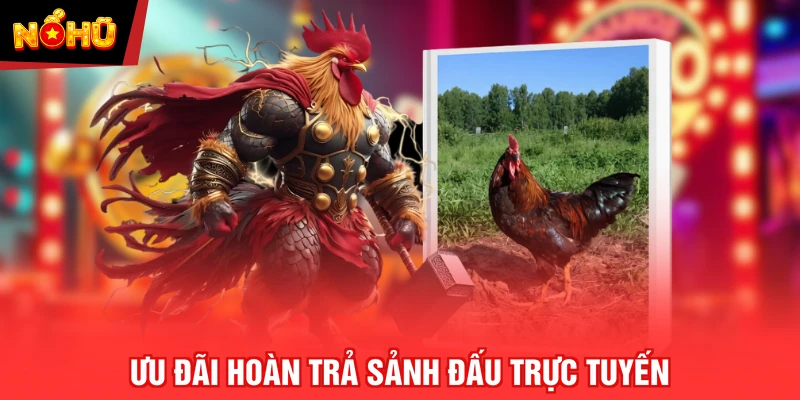 Ưu đãi hoàn trả sảnh đấu trực tuyến
